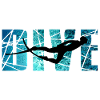 DIVE - Outdoor reef divers