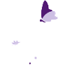 Butterfly Decoration Letter Initial S