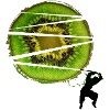 Kiwi-Ninja