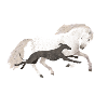 Galgo et cheval