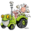 Animals drives a tractor