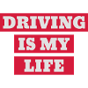 Driver - Driving - Fahren - Conducteur - Auto