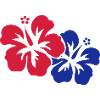 hawaii flower 2