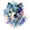 Wolf in the North