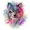 Wolf im Norden Colour version