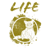 racoon