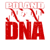 Polonia Pole Polin bandiera polacca DNA