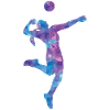 Volleyball player