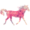 cheval sauvage