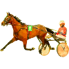 race