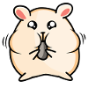 Conception de hamster