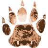 Patte d’ours
