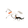 Saluki et cheval