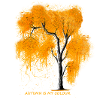fall tree autumn