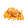 Chanterelle Mushrooms