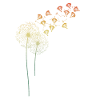 Paraglider Dandelion