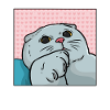 Chat foldex
