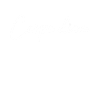 Carpe diem manuscript
