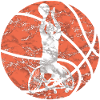 Wheelchair Basketball