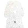 Cockapoo