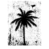 Palm