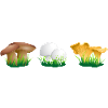 mushrooms