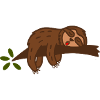 sloth