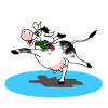 Cow on the ice