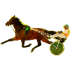 race