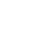 Scarab