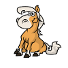 Haflinger