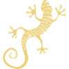 Coole Salamandereidechse oder Gecko