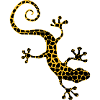 Panther-Eidechse