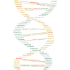 DNA evolution medicine