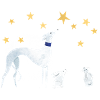 Stargazers