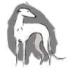 Lévrier blanc