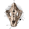 Animals Skull - Skull