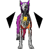 dog shirt