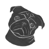 Pug