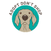 Adopt dont shop