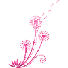Dandelion, Blowball, summer, spring, gift, flower