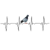 EKG Heartbeat Heartbeat Pigeon Dove