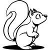 Écureuils doux mignon