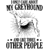 greyhound