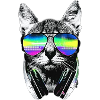 Cool cat