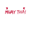Muay Thai