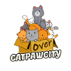 Overcapacity capacity Crowded cats kitten