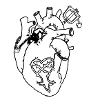 Kingdom Hearts Heart