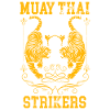 Muay Thai boxing