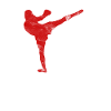 Muay Thai Kampfkunst
